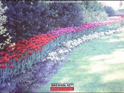 700505_Plantsoen