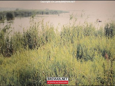700731_Zwartemeer_2