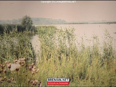 700731_Zwartemeer_3