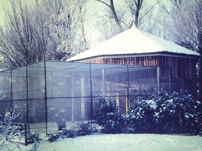710105_Vogelvoilere_sneeuw