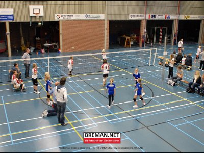 121110_Volleybal_008