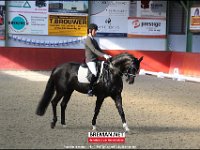 171014 Paarden RR (2)