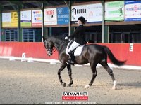171014 Paarden RR (7)