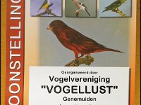 171123 Vogel HH (1)