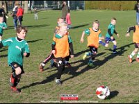 190410 Schoolvoetbal DK (42)