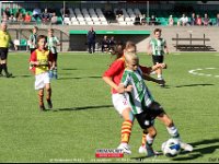 SCGJO13.1 DK (25)