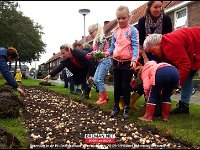 190928 Beatrixstraat RA (4)