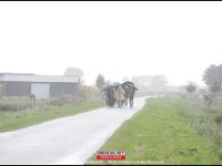 190928 Gemeentedag RR (21)