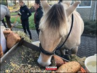 191005 Paarden CB (10)