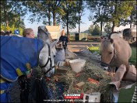 191005 Paarden CB (15)