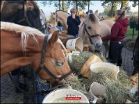 191005 Paarden CB (17)