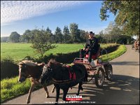 191005 Paarden CB (21)