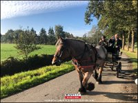 191005 Paarden CB (22)