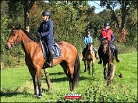 191005 Paarden CB (23)