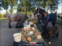 191005 Paarden CB (3)