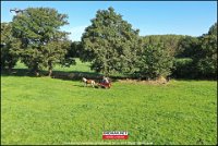 191005 Paarden M2 (13)  0.9.142 : single