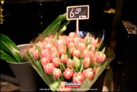 200118 Tulpen BB (30)