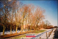 xxxxxx Arendje 060