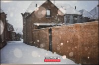 xxxxxx Arendje 089