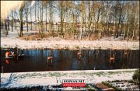 xxxxxx Arendje 138
